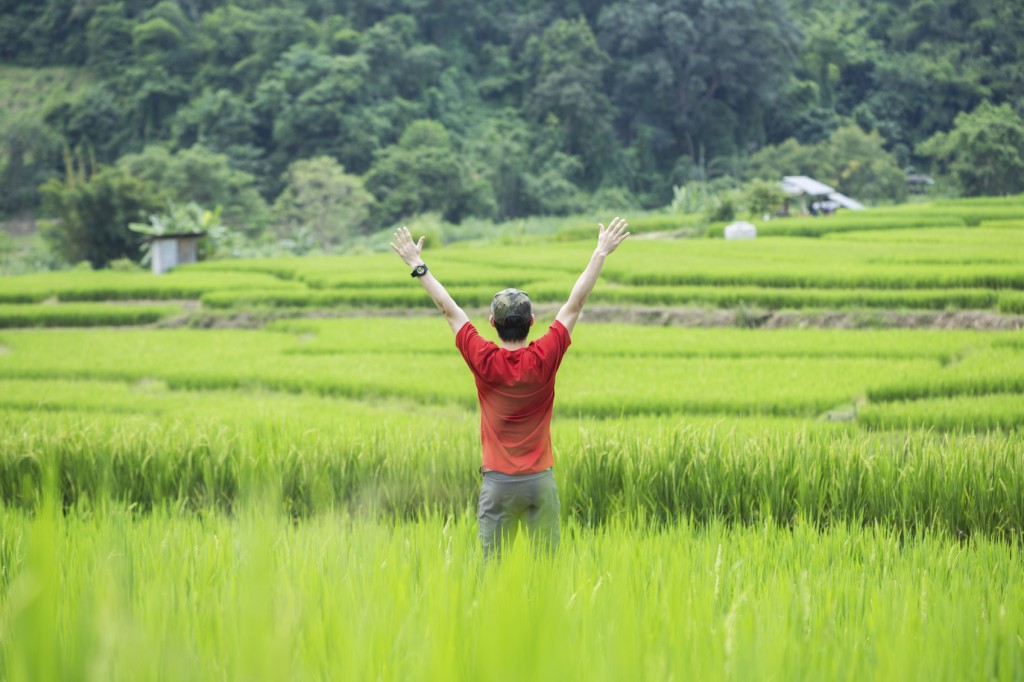 Man standing with arms raised in green field