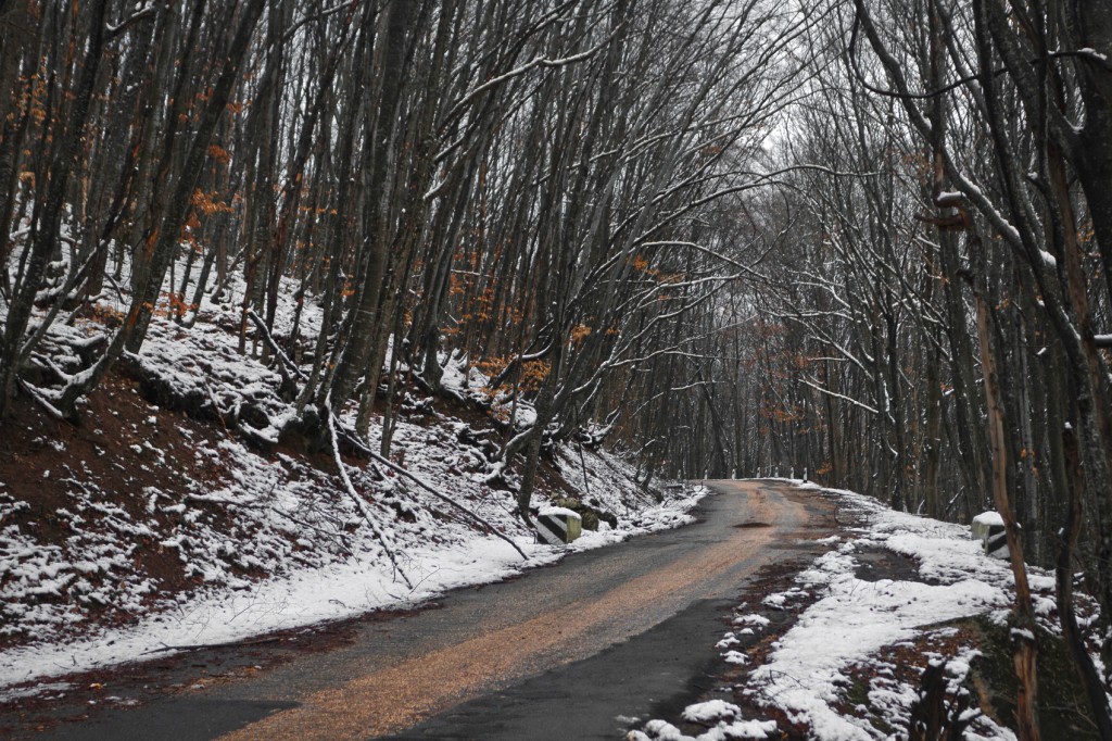 fall/winter road