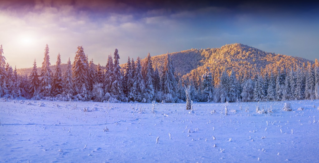 Panorama of the winter sunrise in the mountains