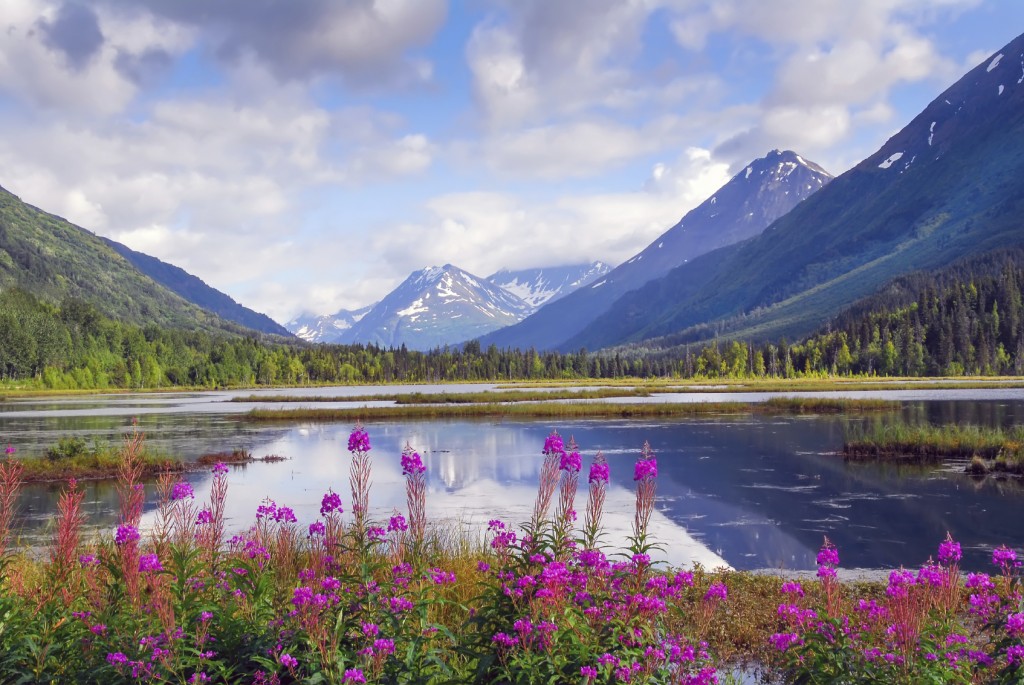 Alaskan mountain and lake landscape.
