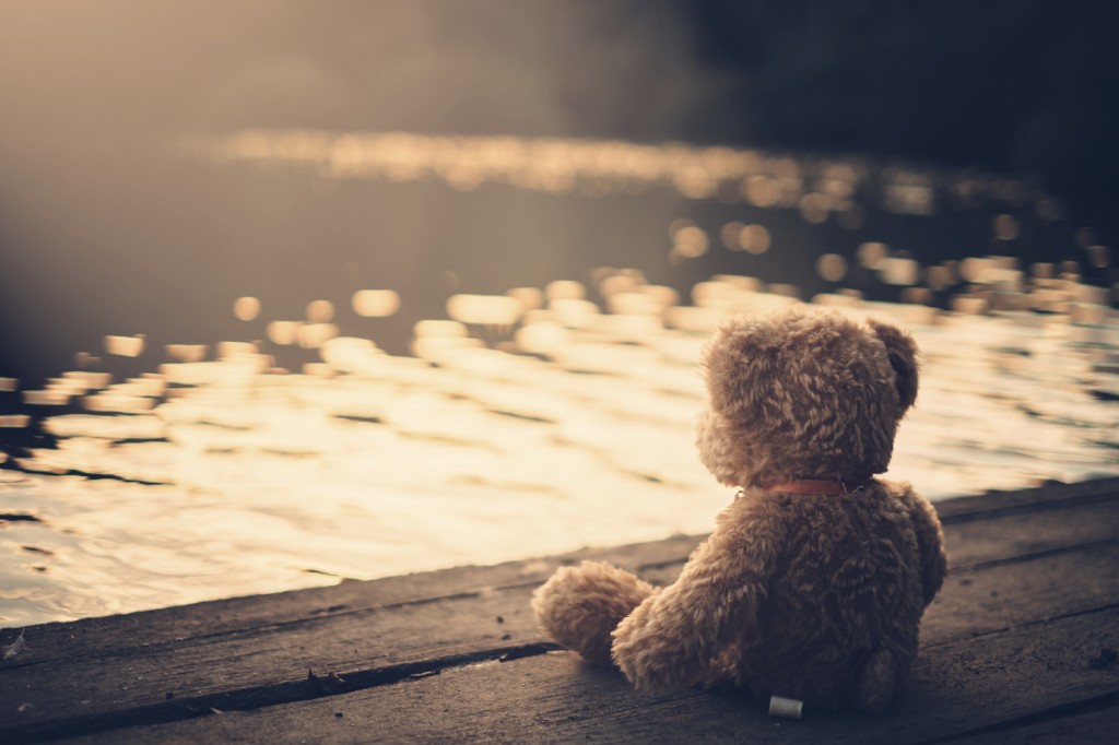 Teddy bear on a dock watching the sunset