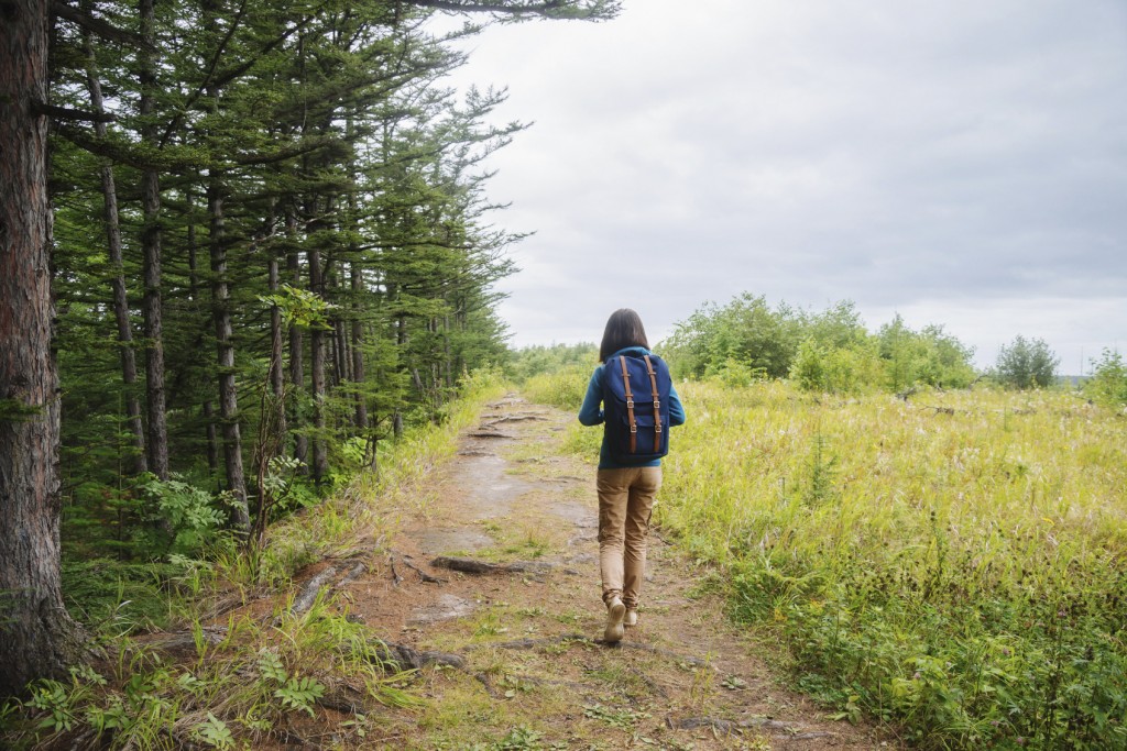 Hiker girl with backpack walking on footpath in summer forest, rear view