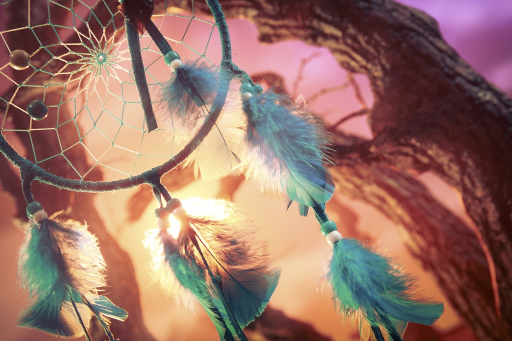 dreamcatcher on a forest at sunset