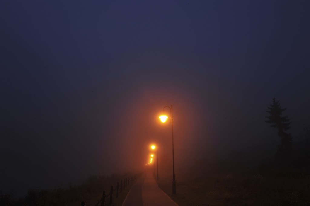 Dark and foggy street light lite road