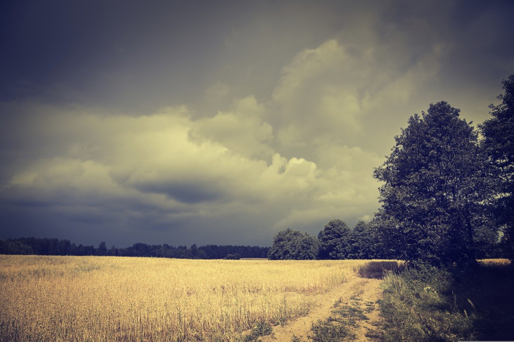 Dark Toned Landscape with Field and Moody Sky
