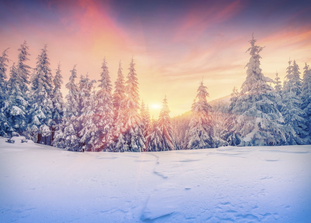 Colorful winter sunset in mountain forest