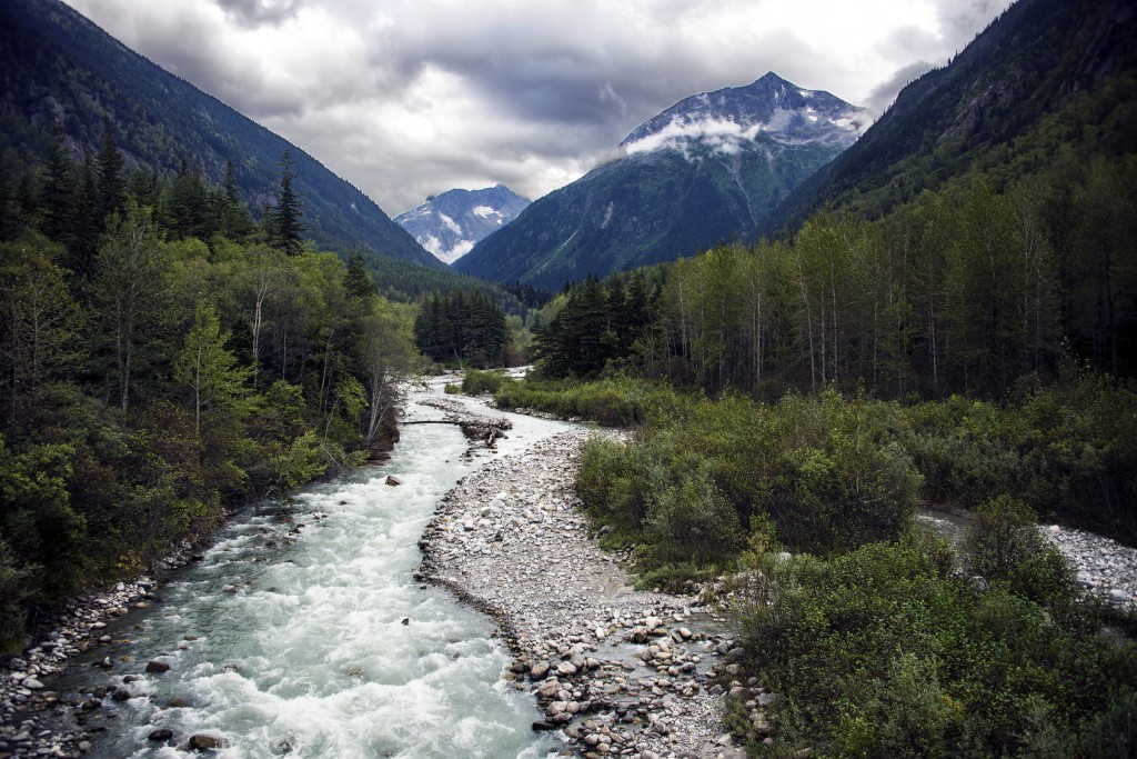 Alaska Landscape with Forests, Mountains and River