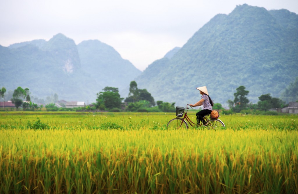 Vietnamese woman and her ride in a valley