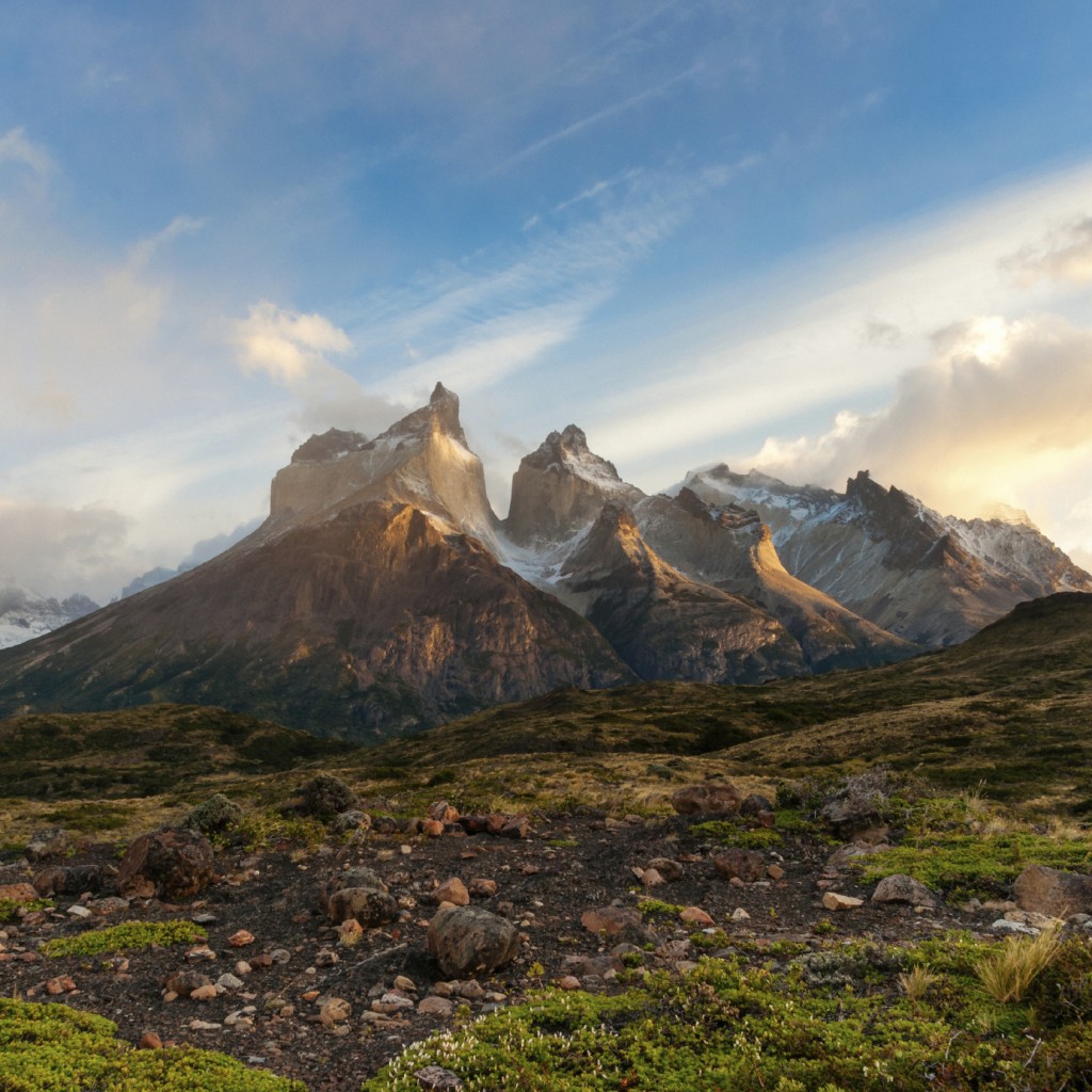 Patagonian Dawn