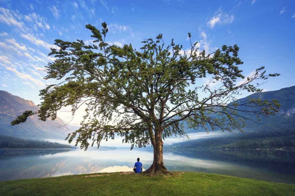 Man in blue shirt sitting under the tree by the Lake Bohinj, Slovenia.
