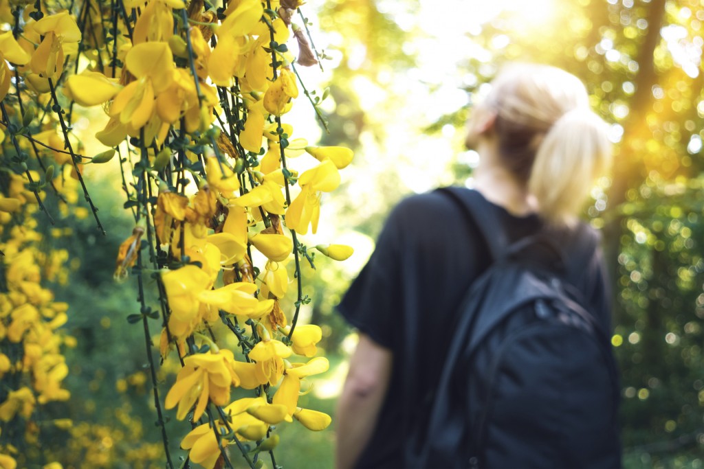 Woman admiring nature while hiking in the forest. Focus on beautiful yellow flowers in the foreground.