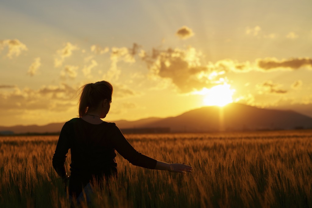 rear view of woman in wheat field feeling free and touching the nature, silhoette at sunset.