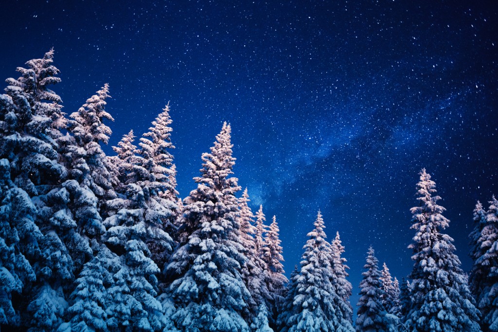 Idyllic snowy winter scene: snowcapped trees under the night sky with shining stars.