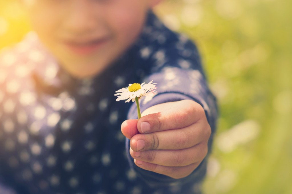 A little boy exploring and playing outside in the country and fields, smiling and holding a daisy.Focus on foreground.