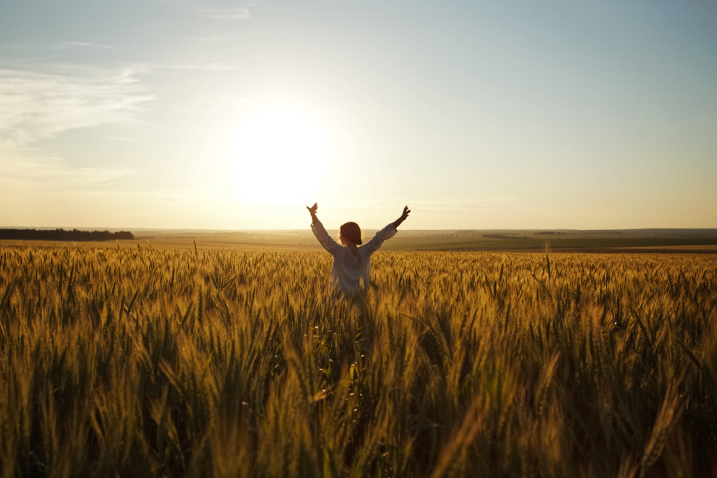 Young woman stands in a field of ripe wheat