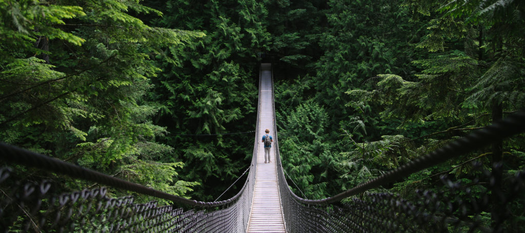 Man on an adventure exploring a lake and walking a suspension bridge