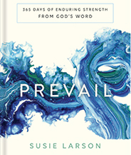 Prevail book cover