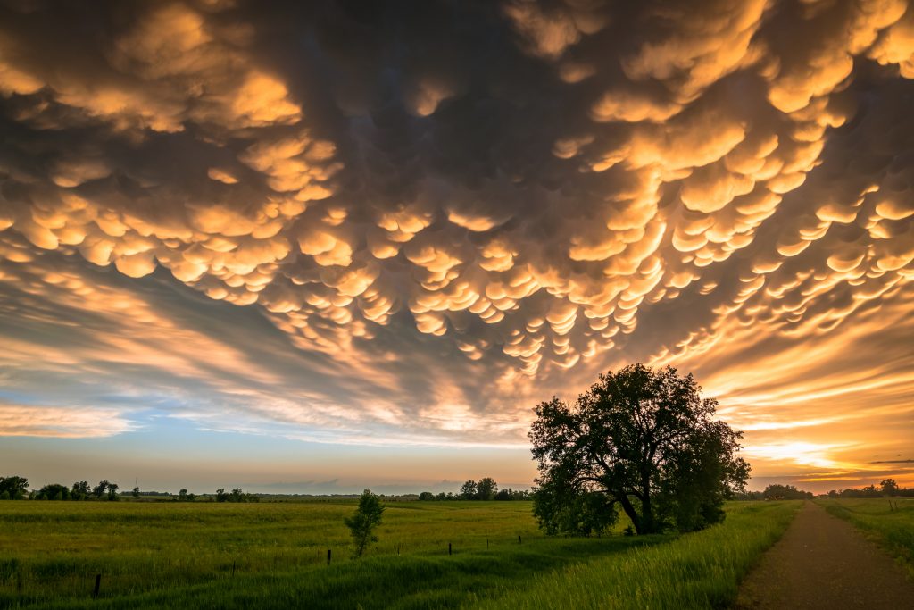 Beautiful evening scene of the Great Plains, USA at sunset. Photographed at the end of a stormchase in Nebraska.