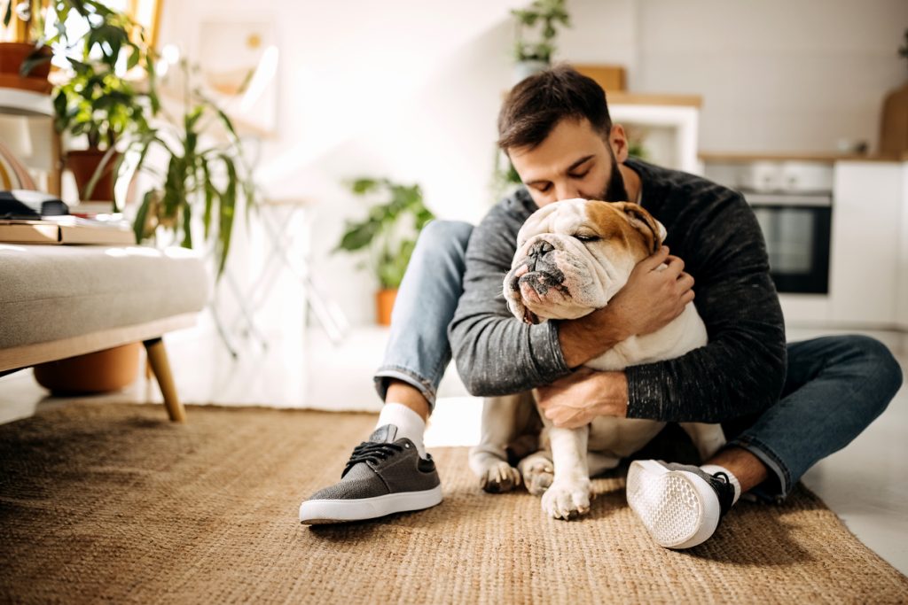 Young bearded man bonding with his english bulldog; pets