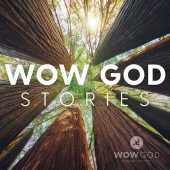 Wow God Stories