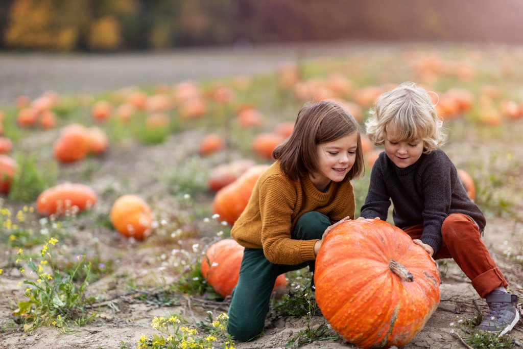 Two little boys having fun in a pumpkin patch near Halloween